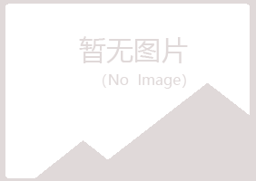 海南夏岚采矿有限公司